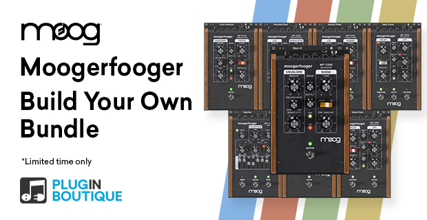 Moog Moogerfooger Effects Plugins - Ty Segall - Frog Meets Fly Demo gallery thumbnail