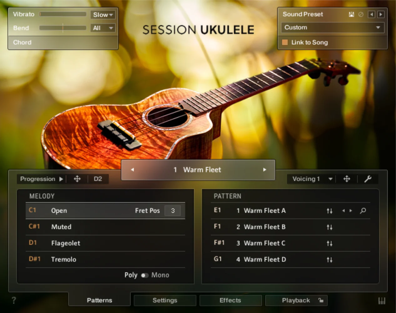  Introducing Session Ukulele | Native Instruments gallery thumbnail