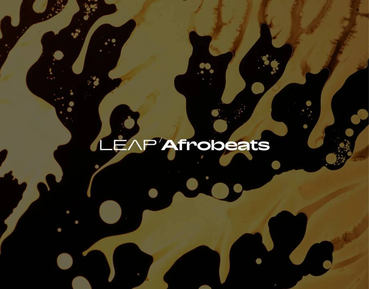  Leap Expansions in Kontakt 8 | Native Instruments gallery thumbnail