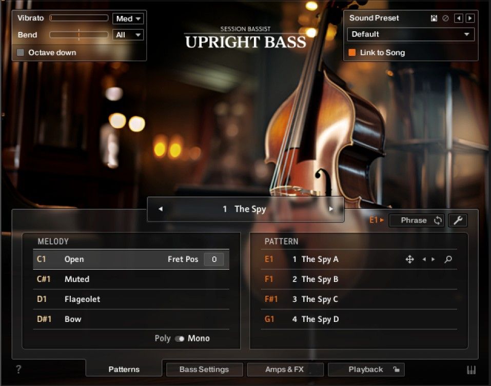 Session Bassist – Upright Bass walkthrough | Native Instruments gallery thumbnail