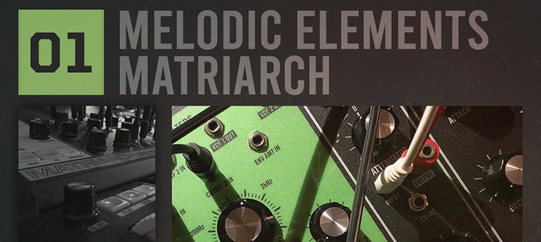 RS Melodic Elements - 01 Matriarch - Video Trailer gallery thumbnail